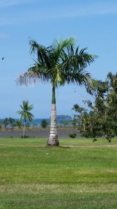 how tantalizing is that?!