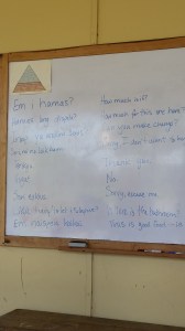 Learning survival phrases in Tok Pisin