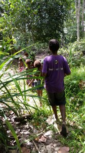 hiking through the jungle