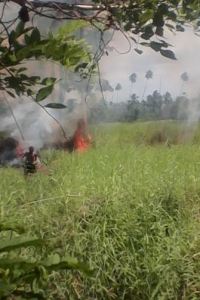 Setting the field on fire