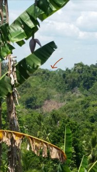 That's where we were headed :0