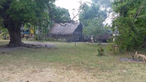 Terri & Rosewita's house